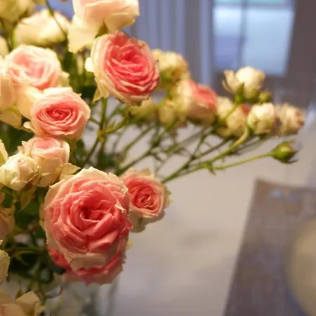 Hof Elf 公寓 Ursensollen